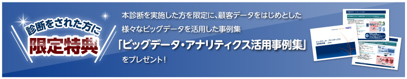 診断をされた方に限定特典 本診断を実施した方を限定に、顧客データをはじめとした様々なビッグデータを活用した事例集「ビッグデータ・アナリティクス活用事例集」をプレゼント!